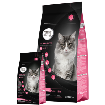 GATO ESTERILIZADO - SALMÃO